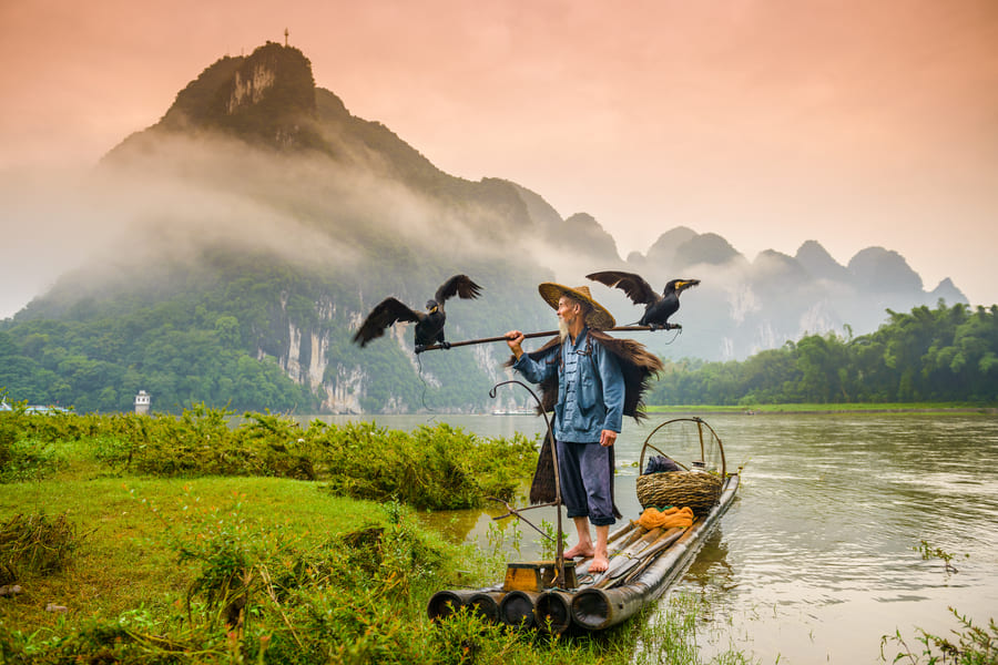 Pescador y ave en Yangshuo